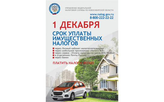 Не позднее 1 декабря нужно уплатить имущественные налоги